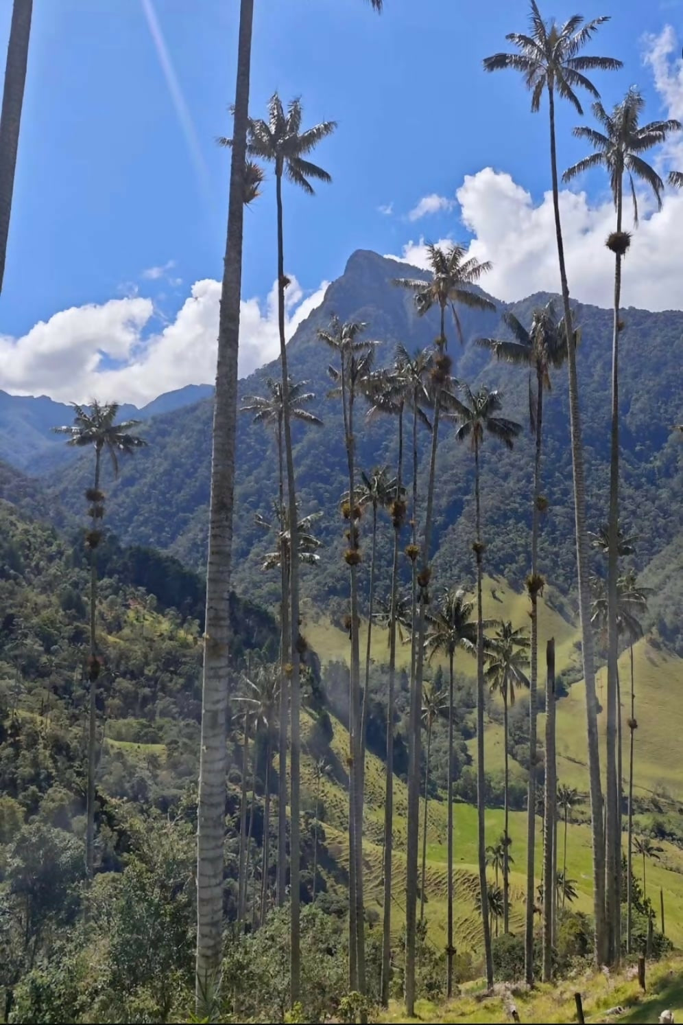 Colombia Premium: El Viaje Definitivo de 12 Días (De la Cordillera al Caribe)