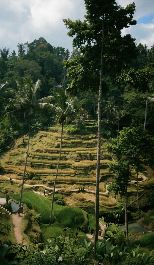 Bali en 7 días I Uluwatu y Ubud sin turistadas.